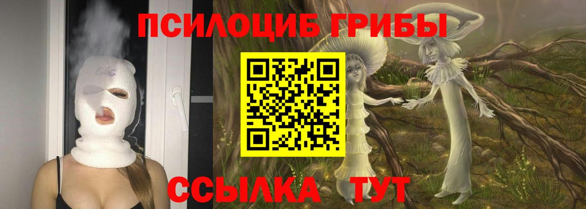 купить наркотики цена  Галлюциногенные грибы мухоморы  Вход с VPN  Псилоцибиновые грибы Psilocybine cubensis  Бирск 